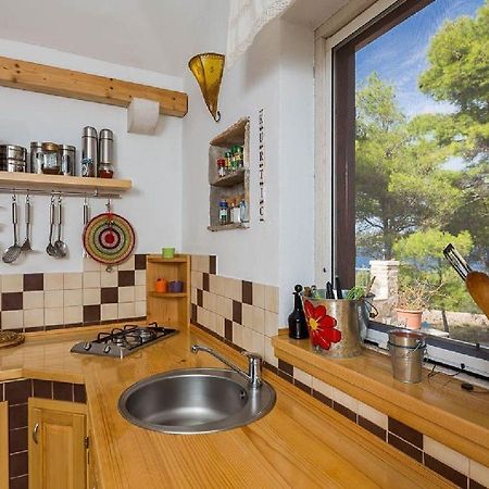 ミルナ House Vesna Kupinovaヴィラ エクステリア 写真